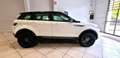 Land Rover Range Rover Evoque 2.2 Pure Tech Pack 190cv Blanc - thumbnail 5