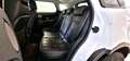 Land Rover Range Rover Evoque 2.2 Pure Tech Pack 190cv Blanc - thumbnail 8