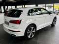 Audi Q5 55 TFSI e quattro S tronic S line plus Bianco - thumbnail 5