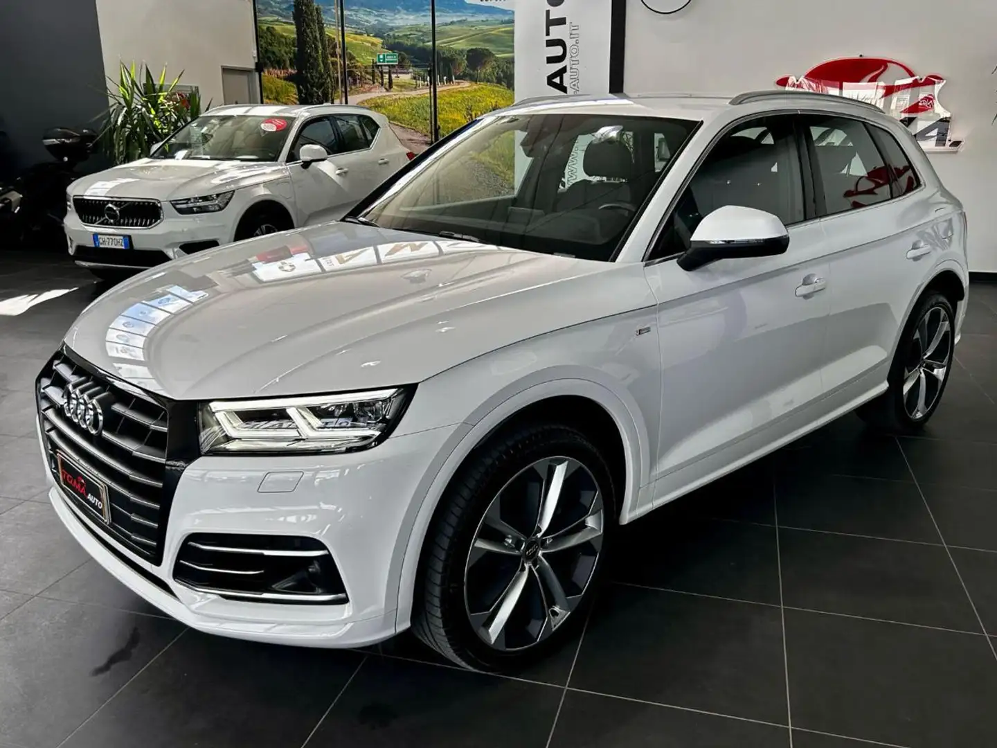 Audi Q5 55 TFSI e quattro S tronic S line plus Bianco - 1