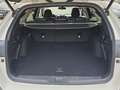 Subaru OUTBACK 2.5i Sport CVT Lineartronic - thumbnail 15