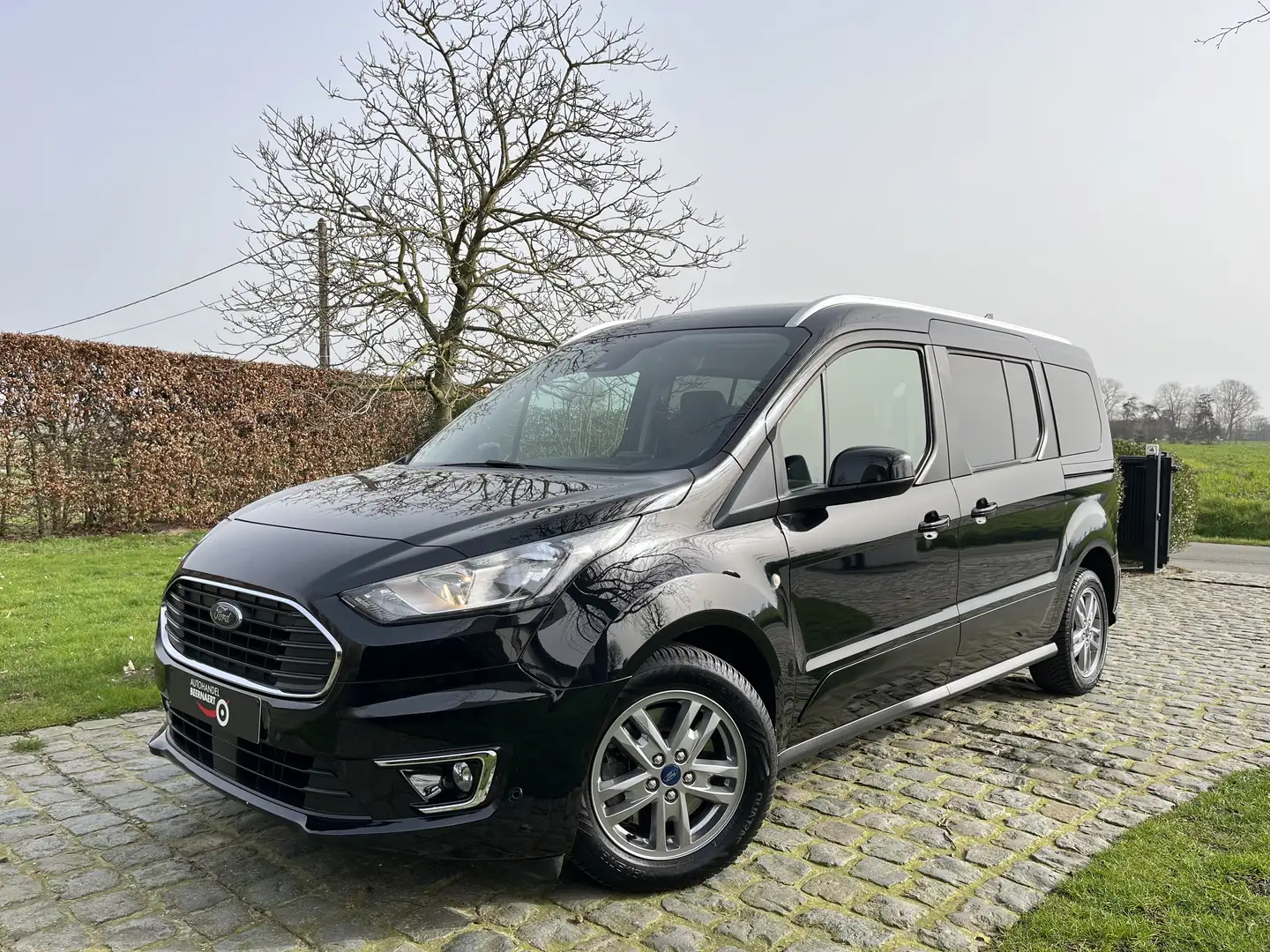 ford tourneo