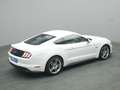 Ford Mustang GT Coupe V8 450PS/Premium-Paket/Navi/ACC Blanc - thumbnail 22