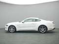 Ford Mustang GT Coupe V8 450PS/Premium-Paket/Navi/ACC Blanc - thumbnail 3