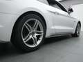 Ford Mustang GT Coupe V8 450PS/Premium-Paket/Navi/ACC Blanc - thumbnail 35