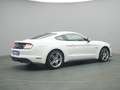 Ford Mustang GT Coupe V8 450PS/Premium-Paket/Navi/ACC Blanc - thumbnail 21