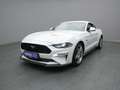 Ford Mustang GT Coupe V8 450PS/Premium-Paket/Navi/ACC Blanc - thumbnail 23
