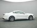 Ford Mustang GT Coupe V8 450PS/Premium-Paket/Navi/ACC Blanc - thumbnail 45