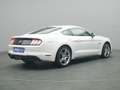 Ford Mustang GT Coupe V8 450PS/Premium-Paket/Navi/ACC Blanc - thumbnail 4