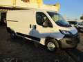 Fiat Ducato 3.0 NATURAL POWER  COIBENTATO (TRASPORTO FARMACI ) Bianco - thumbnail 4