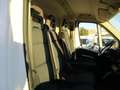 Fiat Ducato 3.0 NATURAL POWER  COIBENTATO (TRASPORTO FARMACI ) Bianco - thumbnail 15