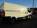 Fiat Ducato 3.0 NATURAL POWER  COIBENTATO (TRASPORTO FARMACI ) Bianco - thumbnail 3