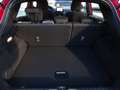 Ford Puma 1.0 EcoBoost  MHEV ST-Line LED Navi DAB Rot - thumbnail 27