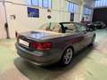 BMW 330 330i Cabrio Futura TAGLIANDI BMW Grigio - thumbnail 7