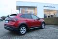 Volkswagen Taigo Life 1,0 TSI AHK LED ACC Kam Rot - thumbnail 5