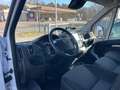 Fiat Ducato 2.3 L1H1 Kasten*Klima*Automatik*Kamera* Blanco - thumbnail 16