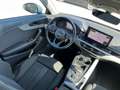 Audi A4 Avant 35 TDI S-tronic| AHK Weiß - thumbnail 12