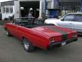 Buick Skylark Rot - thumbnail 5
