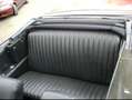 Buick Skylark Rot - thumbnail 8