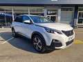 Peugeot 5008 5008 Allure BlueHDI 130 EAT8 7-Sitze Weiß - thumbnail 25