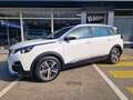 Peugeot 5008 5008 Allure BlueHDI 130 EAT8 7-Sitze Weiß - thumbnail 5