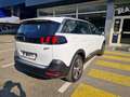 Peugeot 5008 5008 Allure BlueHDI 130 EAT8 7-Sitze Weiß - thumbnail 32