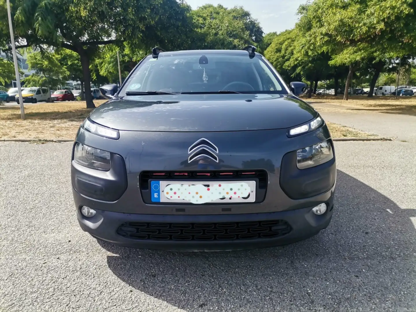 Citroen C4 Cactus 1.6 BlueHDi Feel 100 Gris - 1