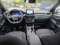 Ford Kuga 2,0 EcoBlue ST-Line AWD Aut. Weiß - thumbnail 8