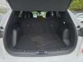 Ford Kuga 2,0 EcoBlue AWD ST-Line Aut. Weiß - thumbnail 13