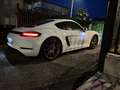 Porsche Cayman 718 2.0 300cv pdk - thumbnail 14