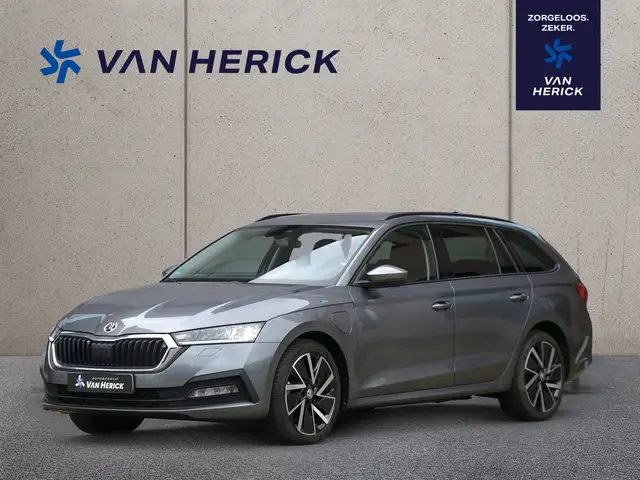 2023 Skoda Octavia in Grey for sale