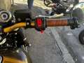 Benelli Imperiale Marco Seipercento - thumbnail 21