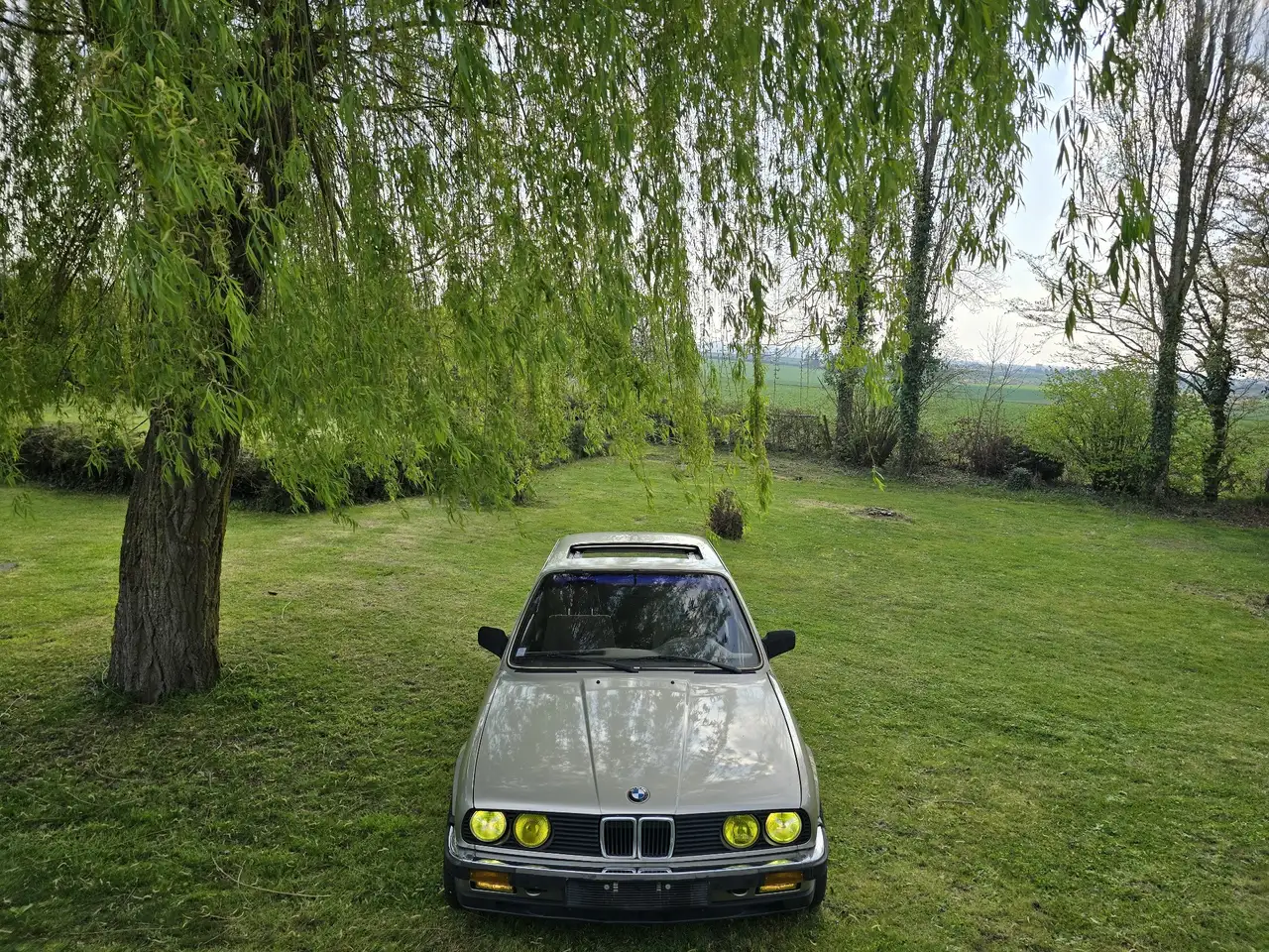 BMW 318iA, foto 3