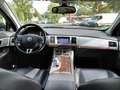 Jaguar XF XF 3.0d V6 Premium Luxury auto ESEMPLARE UNICO - thumbnail 7