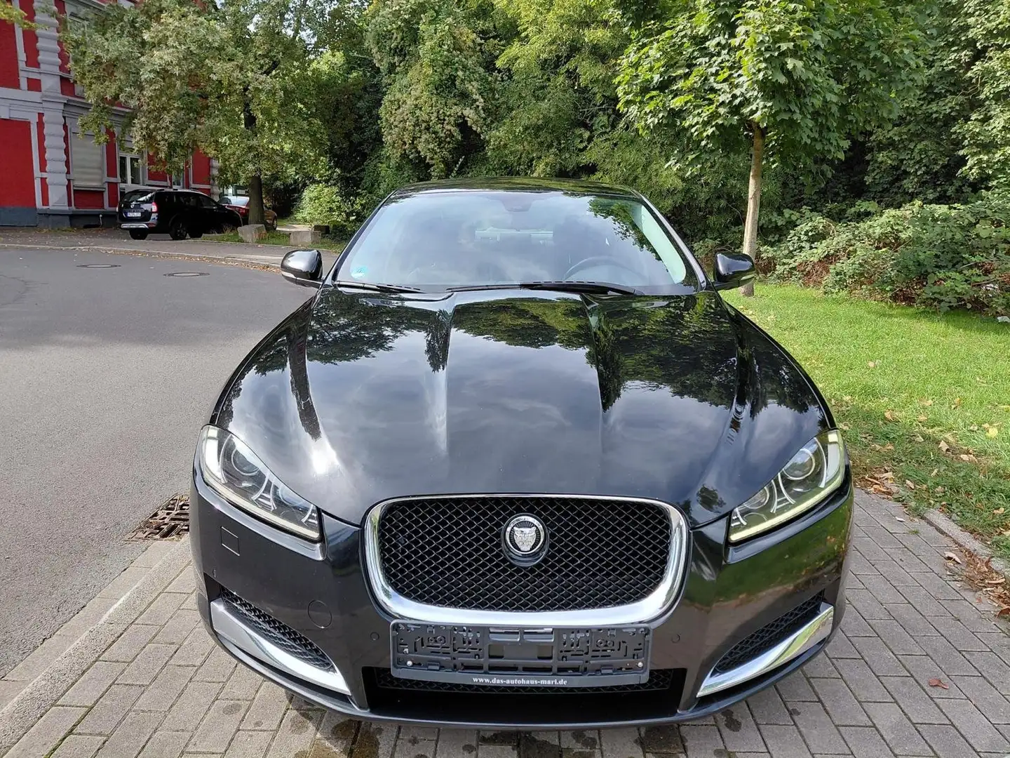 Jaguar XF XF 3.0d V6 Premium Luxury auto ESEMPLARE UNICO - 1