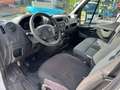 Renault Master Alb - thumbnail 11
