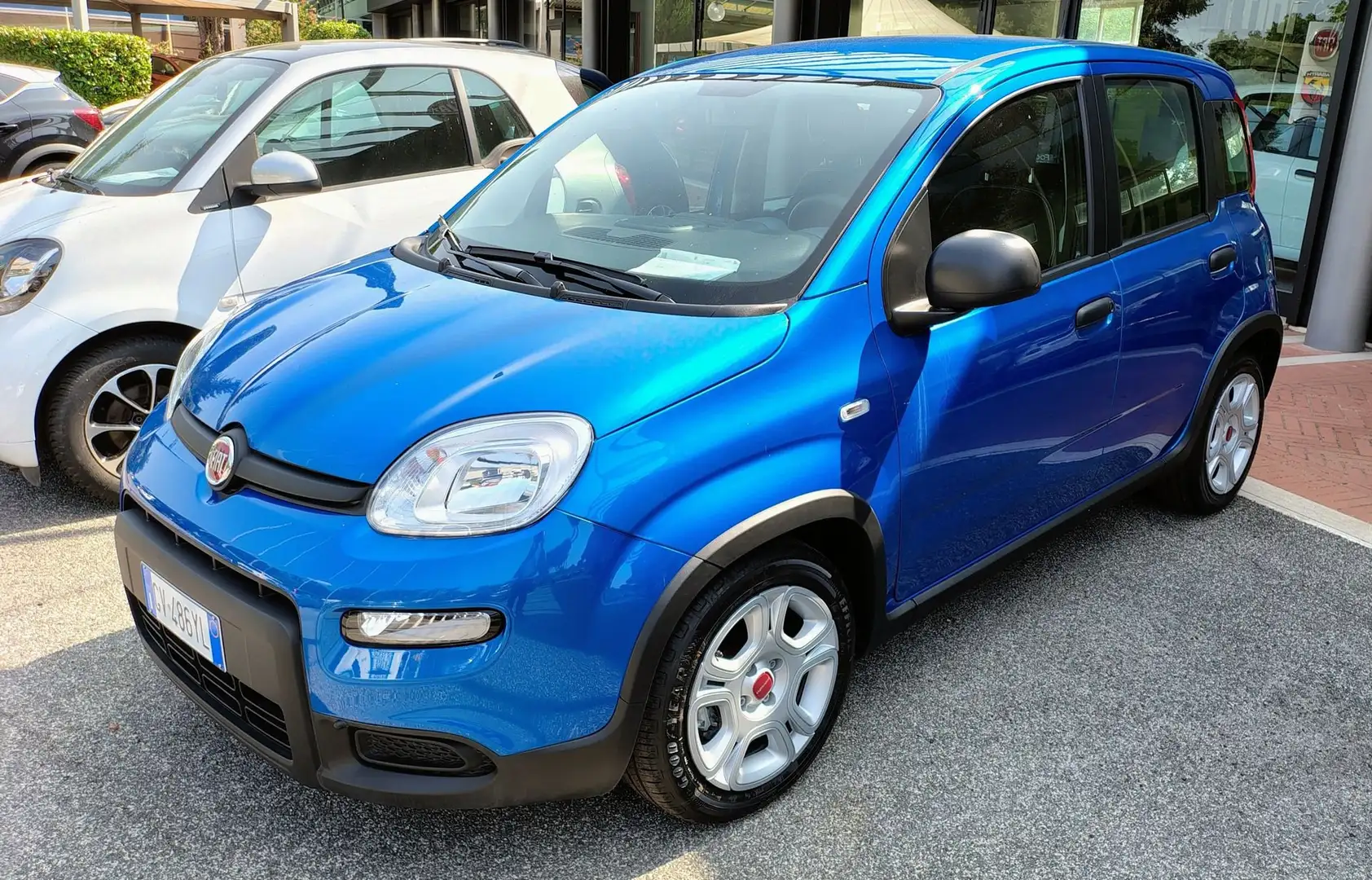 Fiat Panda 1.0 FireFly S&S Hybrid Blu/Azzurro - 1