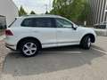 Volkswagen Touareg Touareg V6 TDI BMT 4Motion Aut. V6 Weiß - thumbnail 3