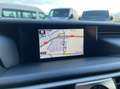Lexus IS 300 300h Hybrid Afnm-Trekhaak/Lane/Cruise/Camera/Nav. Weiß - thumbnail 19