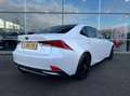 Lexus IS 300 300h Hybrid Afnm-Trekhaak/Lane/Cruise/Camera/Nav. Weiß - thumbnail 4
