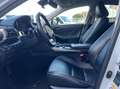 Lexus IS 300 300h Hybrid Afnm-Trekhaak/Lane/Cruise/Camera/Nav. Blanco - thumbnail 16