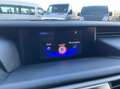 Lexus IS 300 300h Hybrid Afnm-Trekhaak/Lane/Cruise/Camera/Nav. Weiß - thumbnail 21