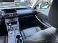 Lexus IS 300 300h Hybrid Afnm-Trekhaak/Lane/Cruise/Camera/Nav. Weiß - thumbnail 30
