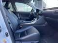 Lexus IS 300 300h Hybrid Afnm-Trekhaak/Lane/Cruise/Camera/Nav. Blanco - thumbnail 28