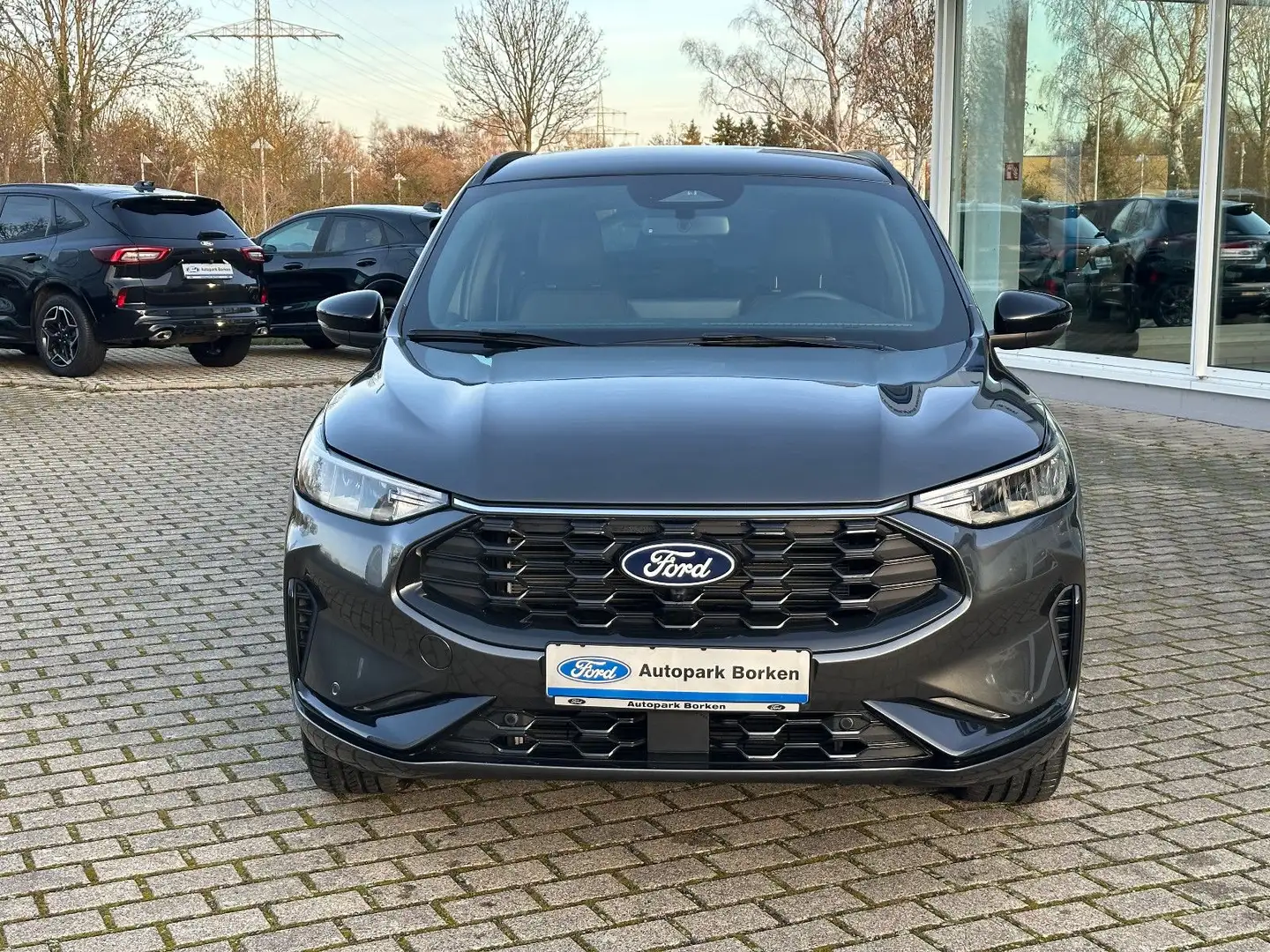 Ford Kuga Plug-In Hybrid ST-Line X Black Package AHK Gris - 2