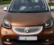 smart forFour smart forfour Weiß - thumbnail 3