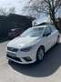 SEAT Ibiza 1,0 ECO TSI Style Fastlane - thumbnail 2