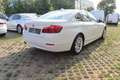 BMW 530 530 d xDrive F10 Lim. | LEDER | NAVI | Weiß - thumbnail 5