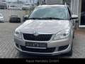 Skoda Roomster Style Plus Edition Klima/PDC/Panorama Beige - thumbnail 5