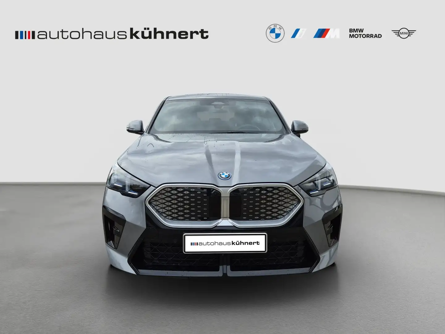BMW iX2 xDrive30 ///M-Sport/ACC/adapt.Fw./AHK/360° Grau - 2